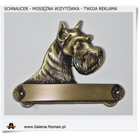 99,00 zł Schnaucer - Mosiężna wizytówka to Twoja reklama