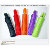 Czarny Parasol jak Holenderski TULIPAN