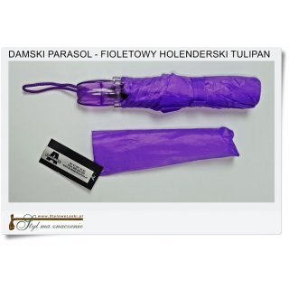 Fioletowy Parasol jak Holenderski TULIPAN