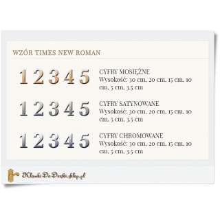 Na dom Srebrna cyfra Times New Roman 19 cm (1 szt)