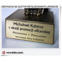 Grawer na złtym metalizowanym laminacie